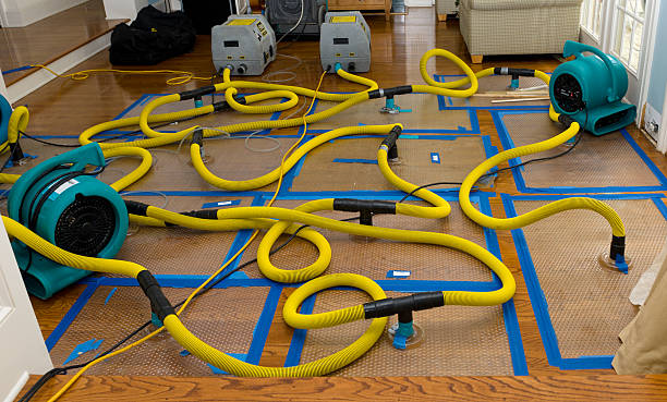 Professional Water Extraction technician working in East Providence, RI